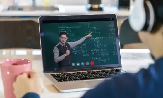 Organizational Development Coaching